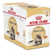 Royal Canin Mainská mývalí ve šťávě kapsička 12x85 g