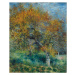 Obrazová reprodukce The Pear Tree; Le Poirier, c.1870, Renoir, Pierre Auguste, 32.9 × 40 cm