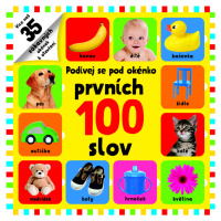 Podívej se pod okénko Prvních 100 slov