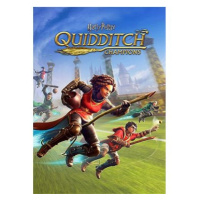 Harry Potter: Quidditch Champions - PC DIGITAL