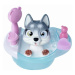 Pejsek Husky Pamper Petz vana