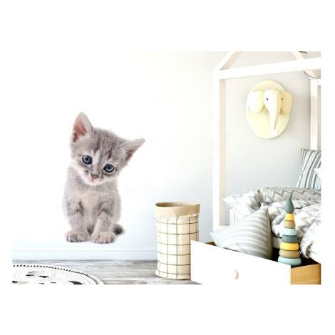 Pastelowe Love Nálepka na zeď - zvířátka - koťátko Velikost: malá