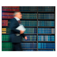 Fotografie Adult Male Lawyer, Jacobs Stock Photography, 40 × 35 cm