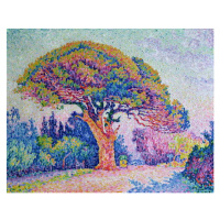 Obrazová reprodukce The Pine Tree at St. Tropez, 1909, Paul Signac, 40 × 30 cm