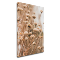 Impresi Obraz Skandinávský styl suchá tráva - 60 x 90 cm
