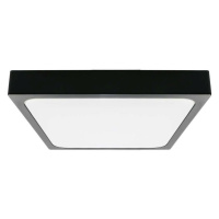 LED Koupelnové stropní svítidlo LED/24W/230V 6500K IP44 černá