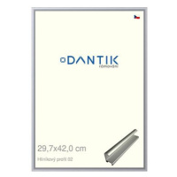 DANTIK rámeček 29,7 × 42, ALU profil 7002 Stříbrný matný plexi čiré