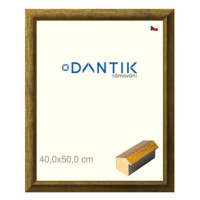 DANTIK rámeček 40 × 50, Forgia Gold sklo čiré