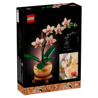 LEGO LEGO® Botanicals Miniaturní orchidej 10343