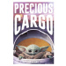 Plakát Star Wars: The Mandalorian - Precious Cargo (249)