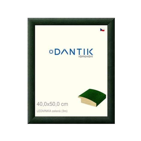 DANTIK rámeček 40 × 50, LEDVINKA zelený sklo čiré