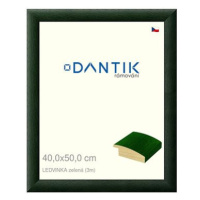 DANTIK rámeček 40 × 50, LEDVINKA zelený sklo čiré