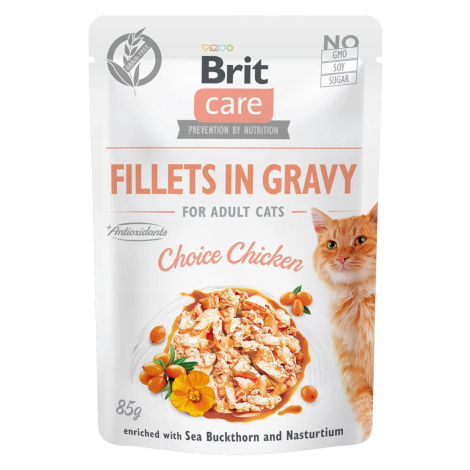 Brit Care Cat filety v omáčce výběrové kuřecí 48 × 85 g