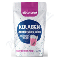 Allnature Kolagen multiv.+inulin př.mal.+cit.110g