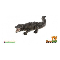 Krokodýl západoafrický zooted