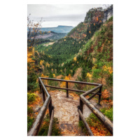 Fotografie Lookout in autumn forest at Bohemian Switzerland, jarino47, 26.7 × 40 cm