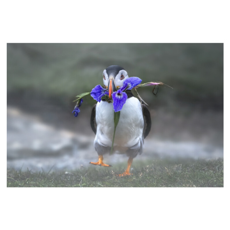 Plakát, Obraz - Honey, I love you, Larry Deng, 40 × 26.7 cm