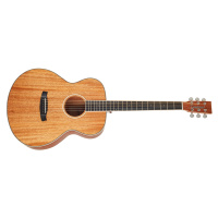 Tanglewood TUN 3