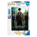 Puzzle Harry Potter XXL (300 dílků)