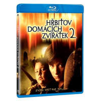 Hřbitov domácích zvířátek 2 - Blu-ray