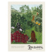 Obrazová reprodukce Monkeys in the Forest - Henri Rousseau, 30x40 cm