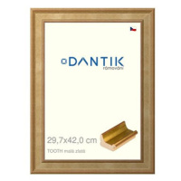 DANTIK rámeček 29,7 × 42, TOOTH malý zlatý plexi čiré