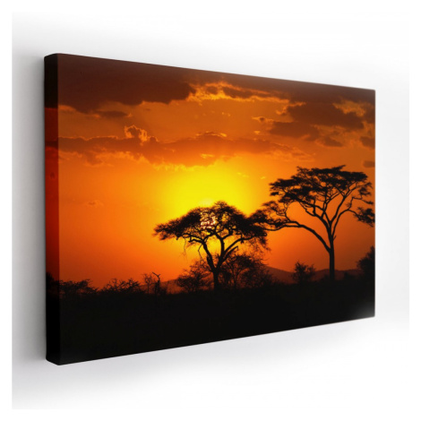 Obraz na plátně AFRICA 120x80 cm Mybesthome MyBestHome PRO