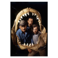 Fotografie JAWS, 1975, 26.7 × 40 cm