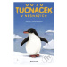 Tučňáček v nesnázích - Rachel Delahaye - kniha z kategorie Beletrie pro děti