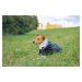 Vsepropejska Coldy bunda pro psa s kapucí Barva: Černo-zelená, Délka zad (cm): 38, Obvod hrudník