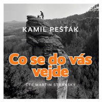 Pešťák Kamil: Co se do vás vejde