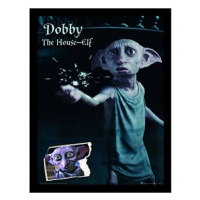 Harry Potter: Dobby - plakát v rámu