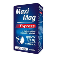 MaxiMag Express hořčík 375 mg+B6 direct 20 sáčků