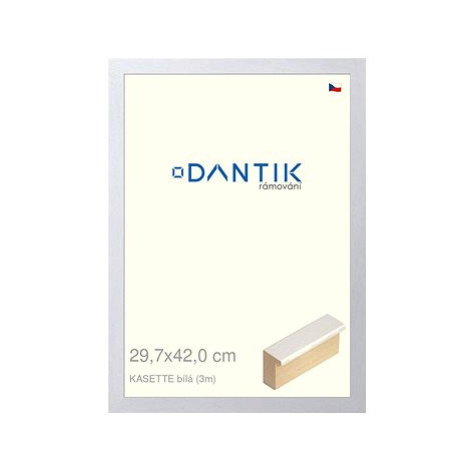 DANTIK rámeček 29,7 × 42, KASSETTE bílý plexi čiré