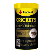 Tropical Crickets 100ml/10g sušených cvrčků pro plazy