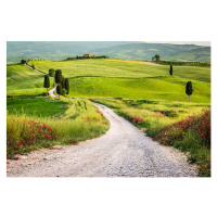 Fotografie Dirt road and green field in Tuscany, Shaiith, 40 × 26.7 cm