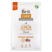 Brit Care Hypoallergenic Junior Large Breed Lamb & Rice - Výhodné balení: 2 x 3 kg