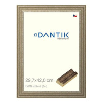 DANTIK rámeček 29,7 × 42, LYON stříbrný plexi čiré