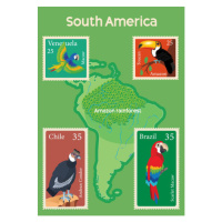 Ilustrace South America Map and Tropical Birds Stamps, drmakkoy, 30 × 40 cm