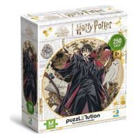 DODO Puzzle Harry Potter: Mladý kouzelník 250 dílků