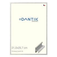 DANTIK rámeček 21 × 29,7, ALU profil 6030 Dýha barevný šedý světlý sklo čiré