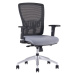 Kancelářská židle na kolečkách Office Pro HALIA MESH BP – s područkami a bez opěrky hlavy Šedá 2