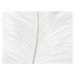 Fotografie Abstract background of white feather close up., Ana Maria Serrano, 40 × 30 cm