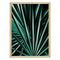 Dekoria Plakát Dark Palm Tree, 21 x  30 cm, Volba rámku: Zlatý