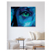 Diamantové malování - OKO POD VODOU (Avatar) Rozměr: 40x50 cm, Rámování: vypnuté plátno na rám