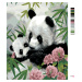 Malování podle čísel - PANDA S MLÁDĚTEM A RŮŽOVÉ KVĚTY (HOWARD ROBINSON) Rozměr: 40x50 cm, Rámov