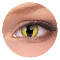 Kontaktní čočky Kočičí oči - nedioptrické jednodenní (2 čočky)