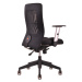 Ergonomická kancelářská židle OfficePro Calypso Barva: červená