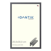 DANTIK rámeček 20 × 30, ALU profil 6220 Ocelový sklo čiré