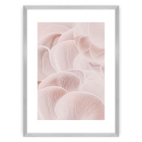Dekoria Plakát Pastel Pink I, 40 x 50 cm, Zvolit rámek: Stříbrný